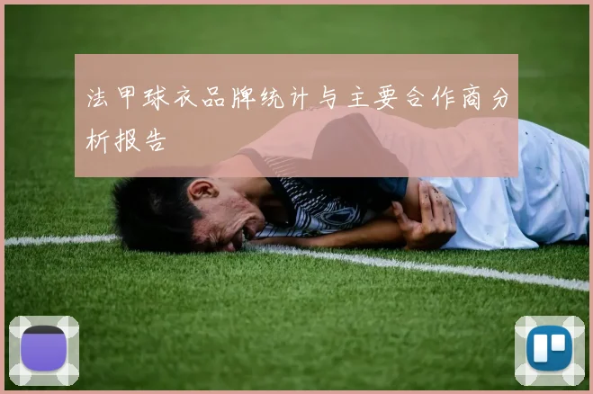 法甲球衣品牌统计与主要合作商分析报告