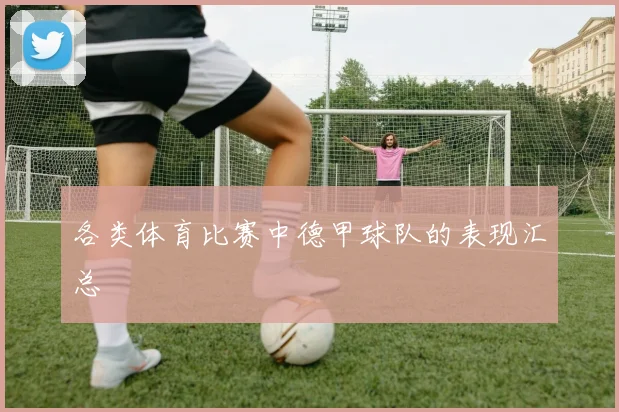 各类体育比赛中德甲球队的表现汇总