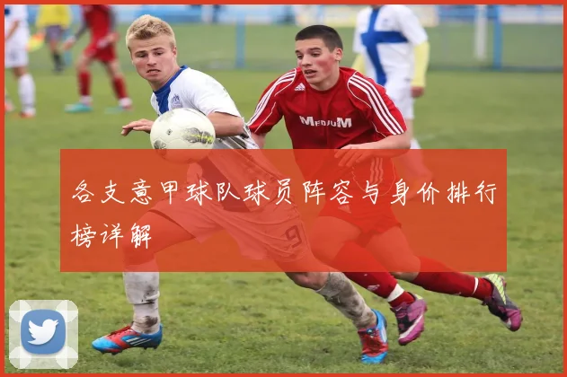 各支意甲球队球员阵容与身价排行榜详解