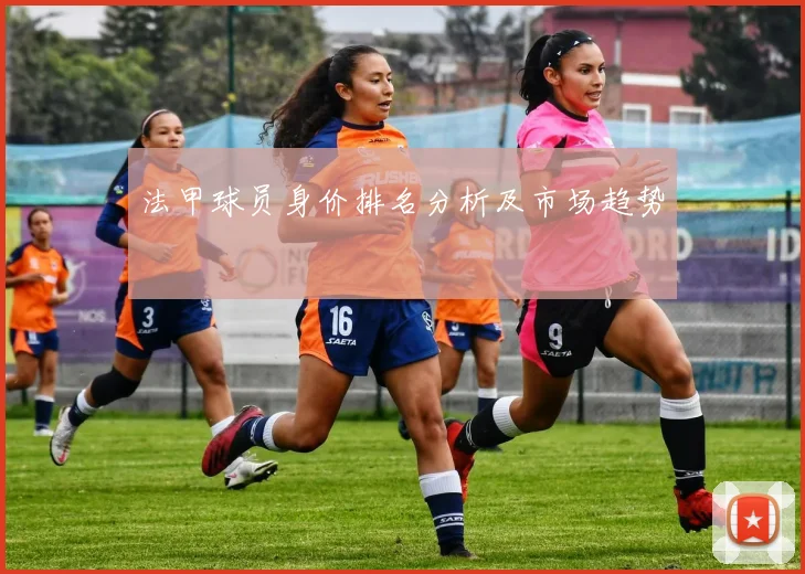 法甲球员身价排名分析及市场趋势