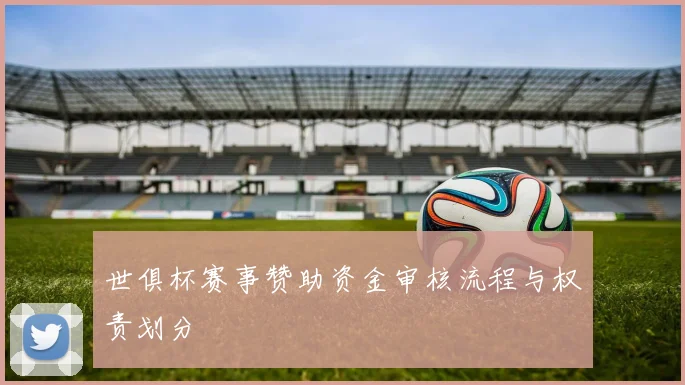 世俱杯赛事赞助资金审核流程与权责划分