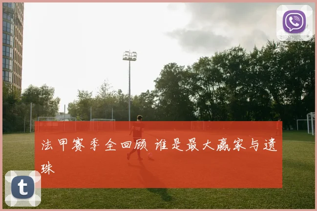 法甲赛季全回顾 谁是最大赢家与遗珠